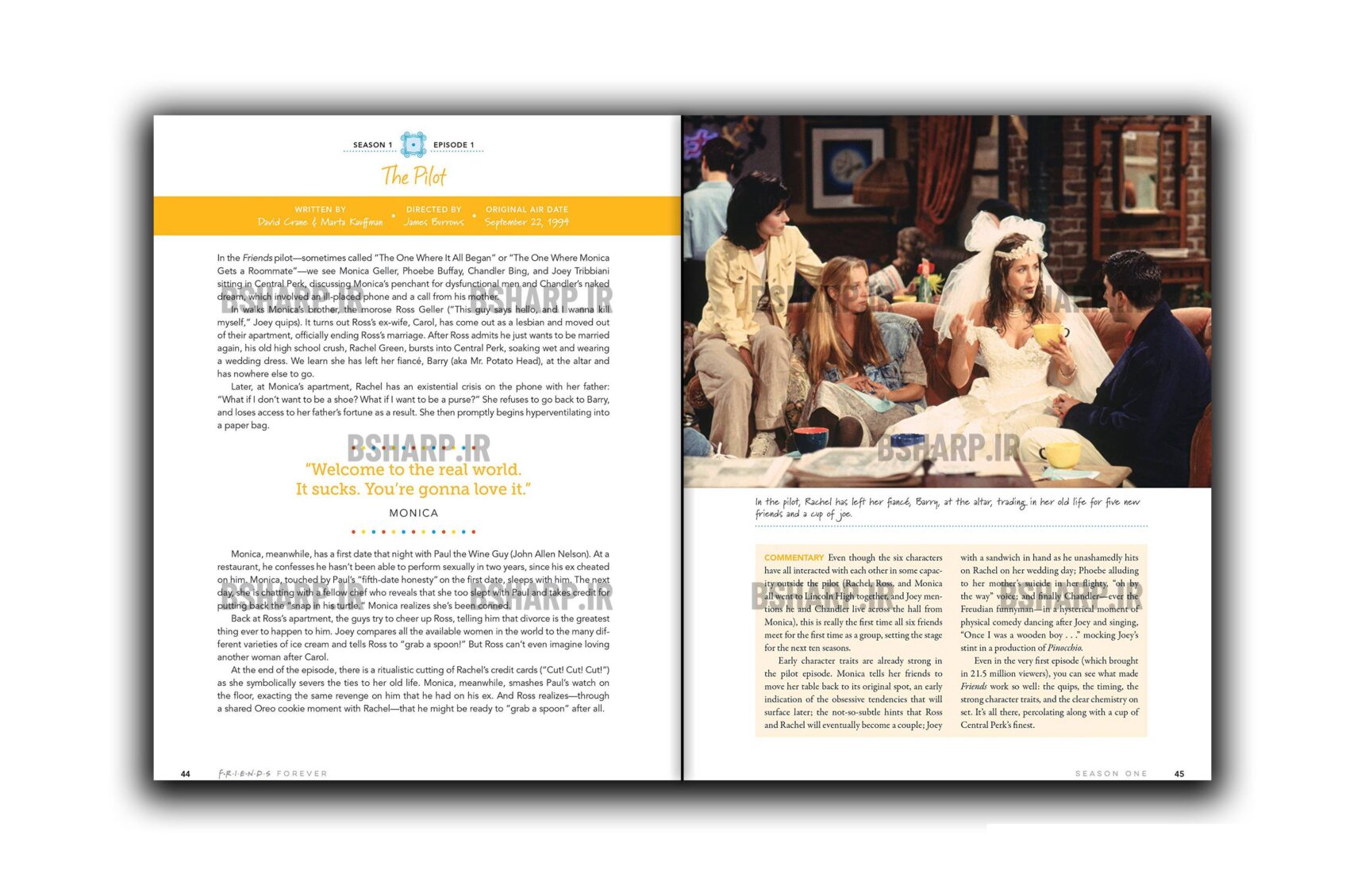 Book - Friends Forever The One About the Episodes - Sample 01