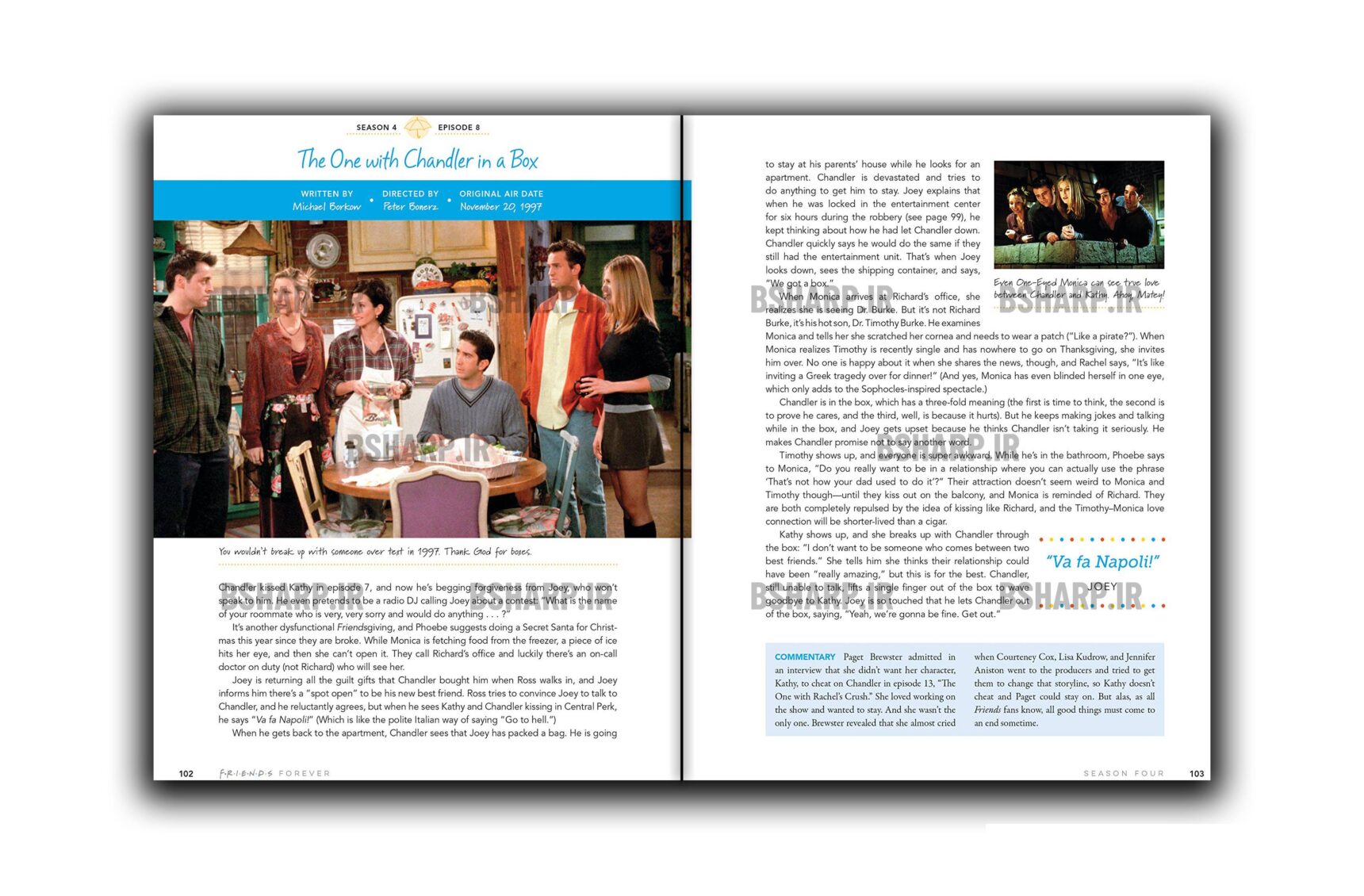 Book - Friends Forever The One About the Episodes - Sample 05