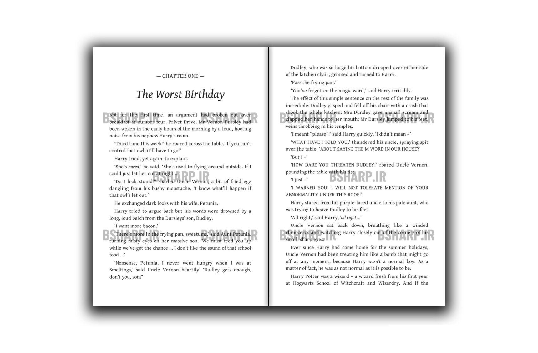 Book - Harry Potter and The Chamber of Secrets - Sample 01