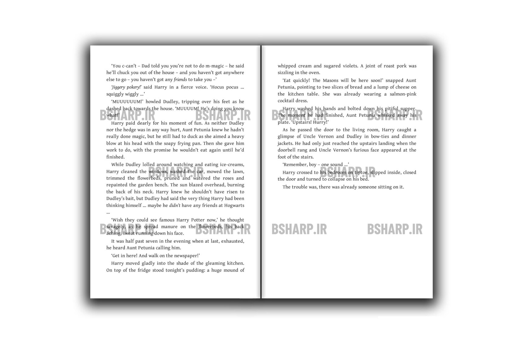 Book - Harry Potter and The Chamber of Secrets - Sample 04