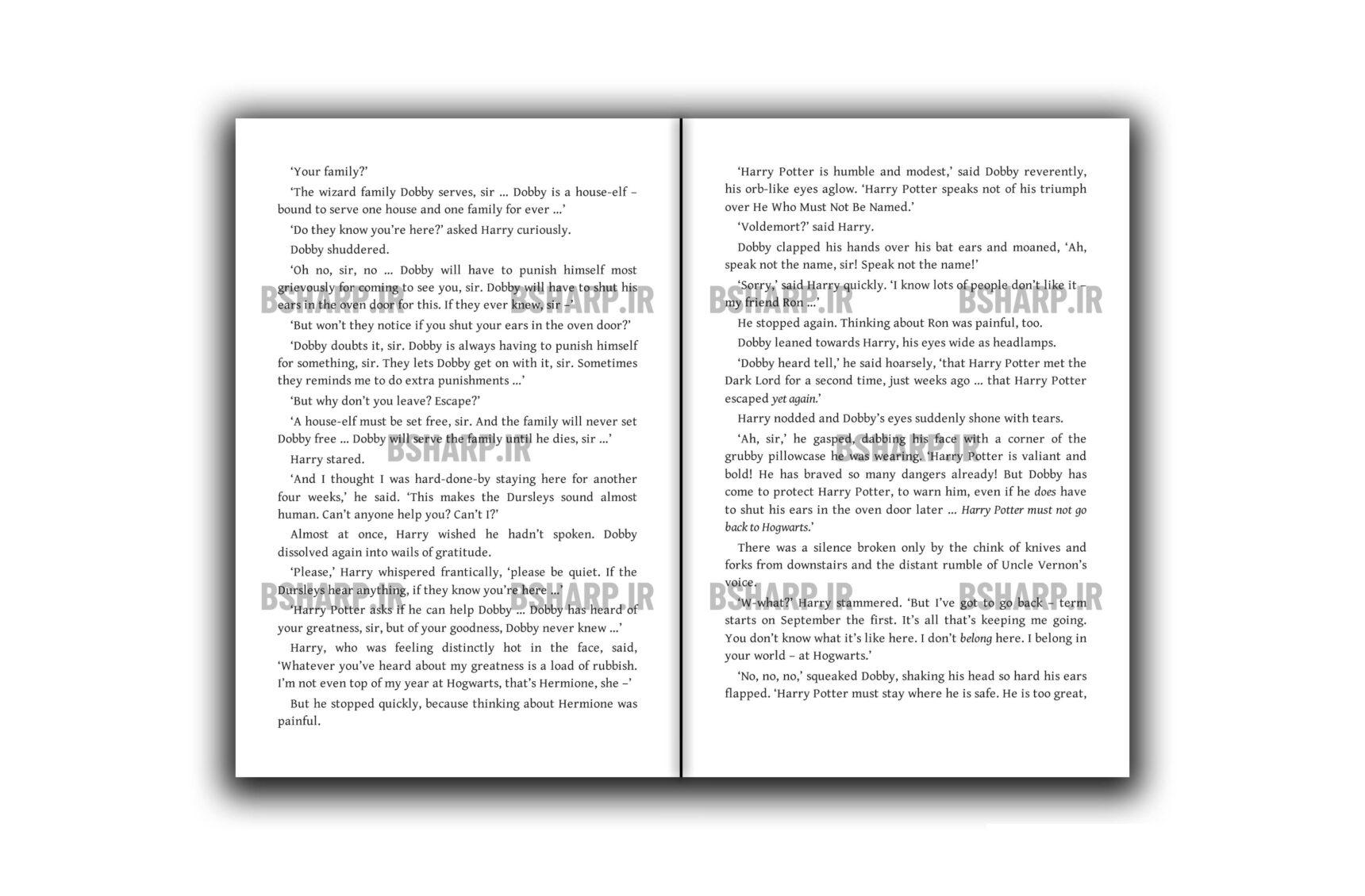 Book - Harry Potter and The Chamber of Secrets - Sample 06