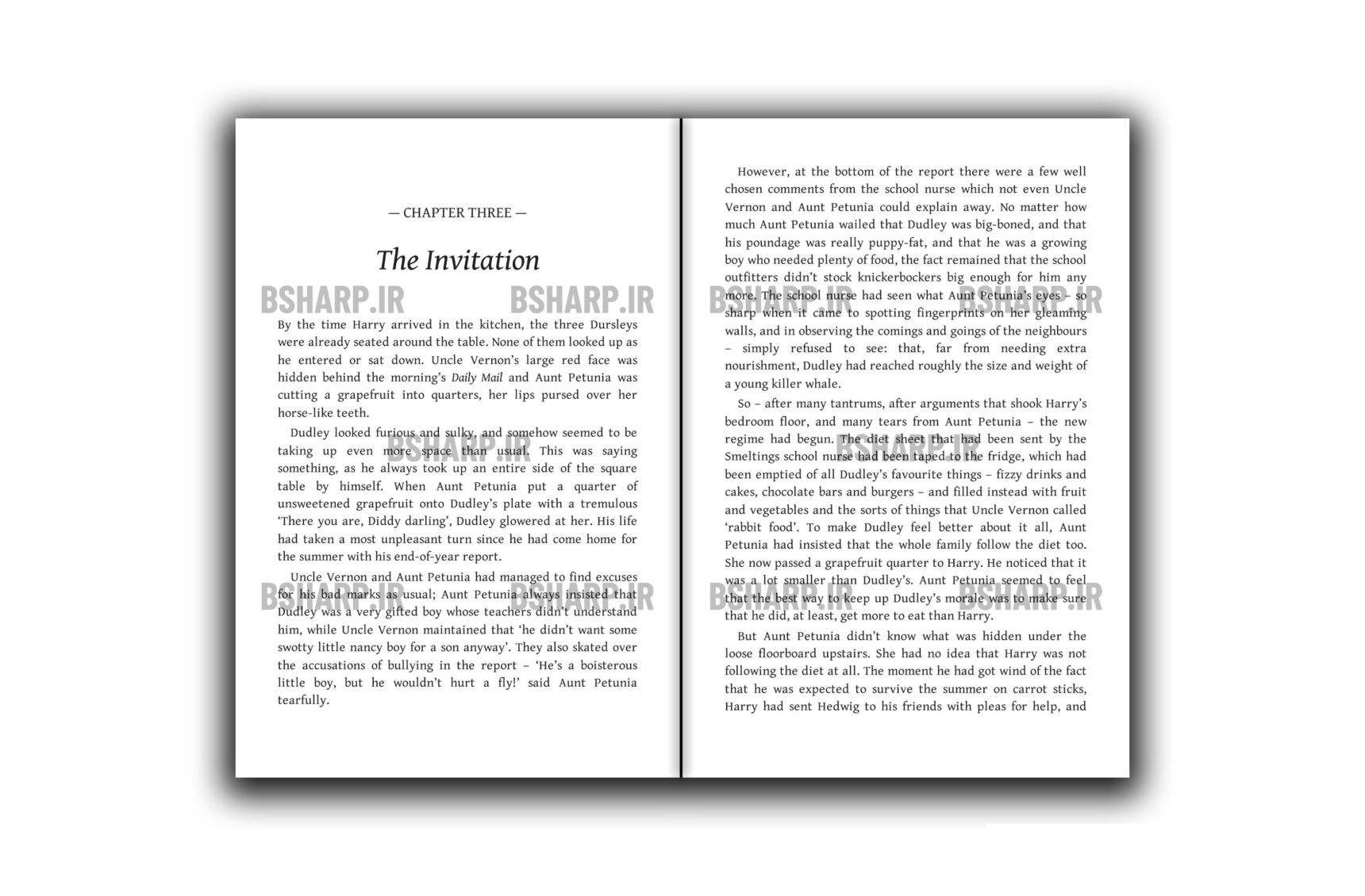 Book - Harry Potter and The Goblet of Fire - Sample 06