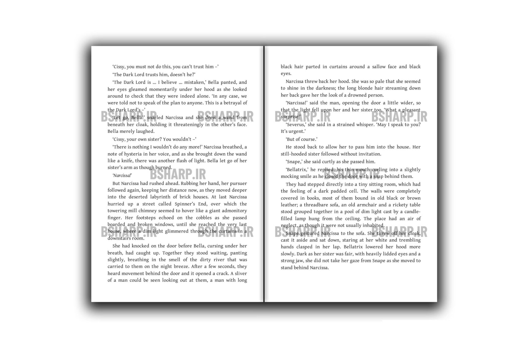 Book - Harry Potter and The Half-Blood Prince - Sample 05