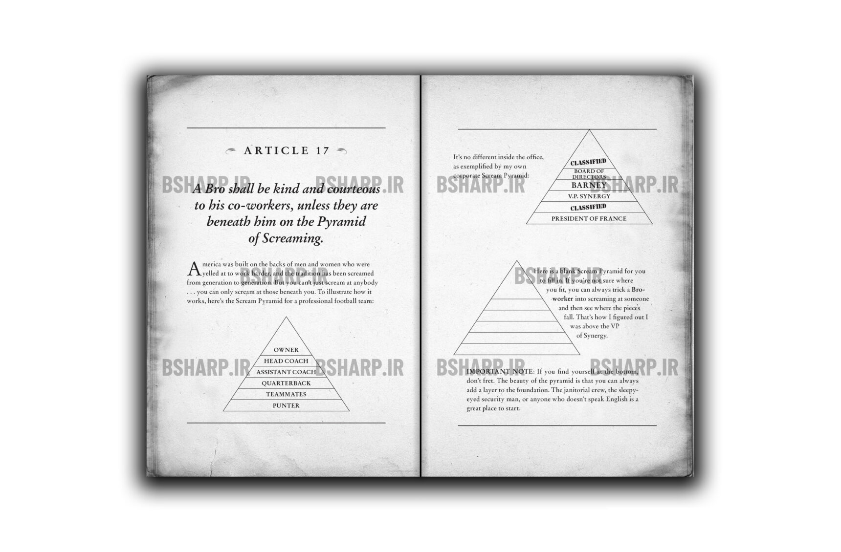 Book - The Bro Code - Sample 01