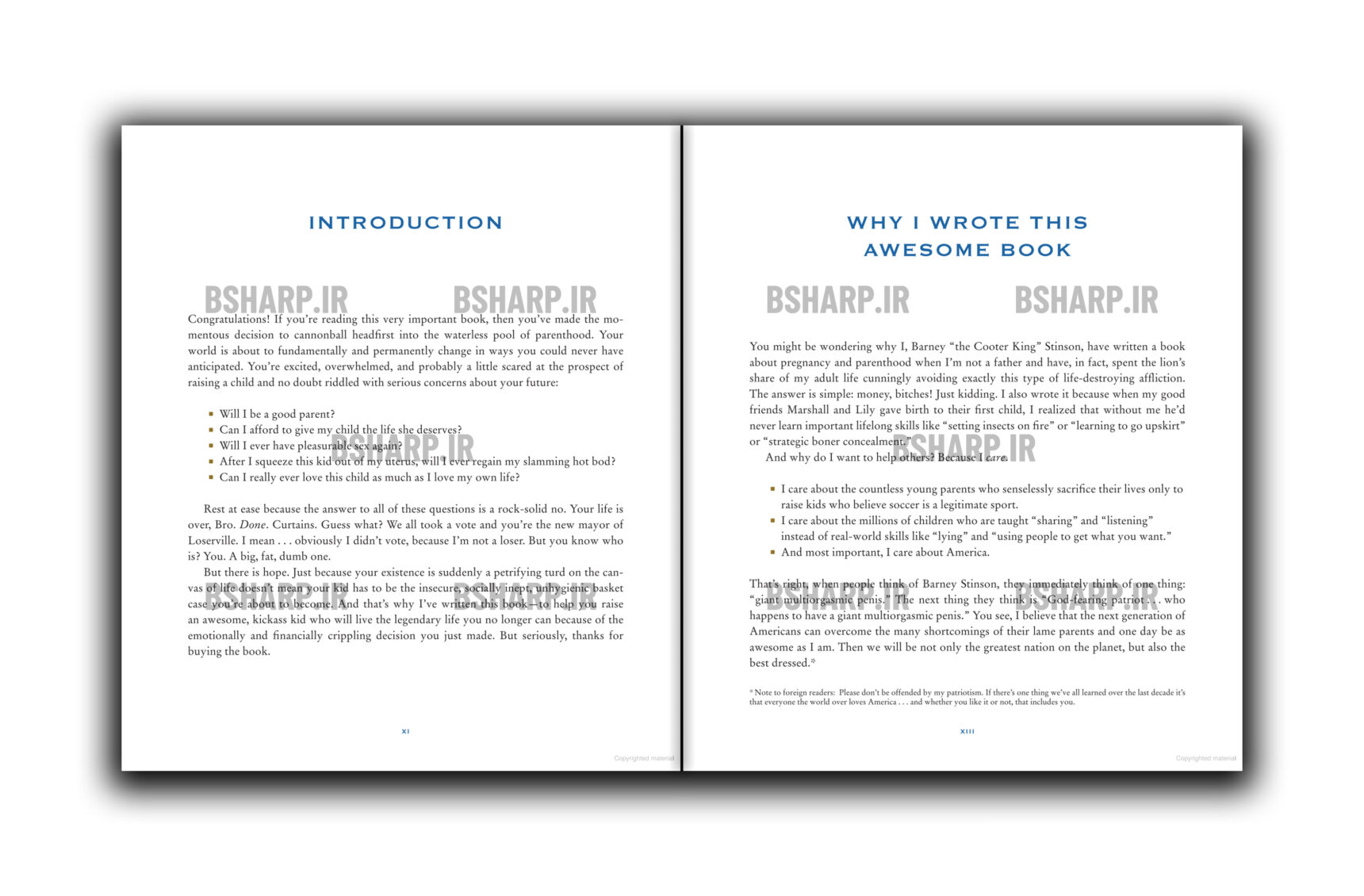 Book - The Bro Code for Parents - Sample 02