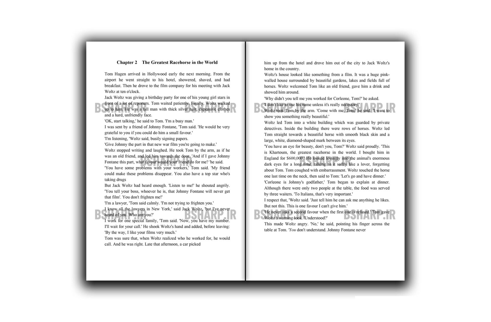 Book - The Godfather - Sample 03